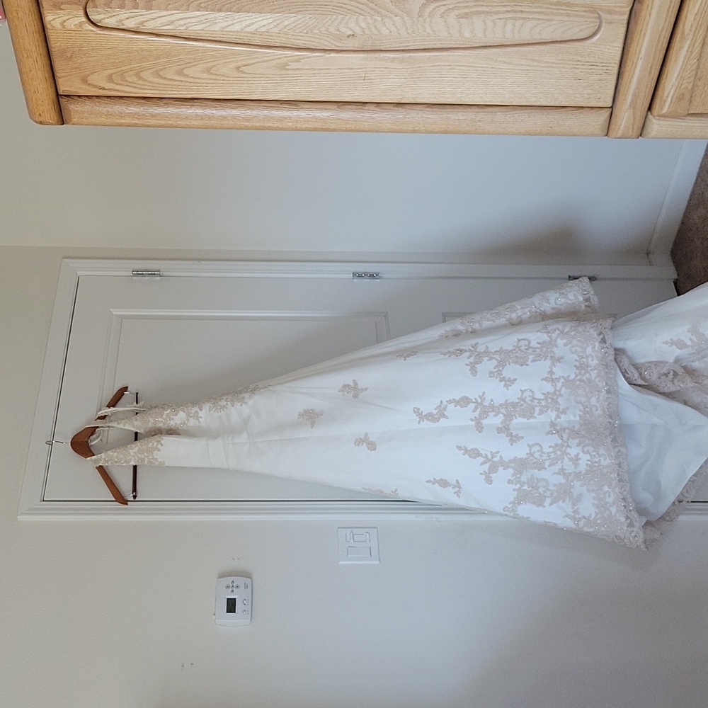Wedding Dress and accessories